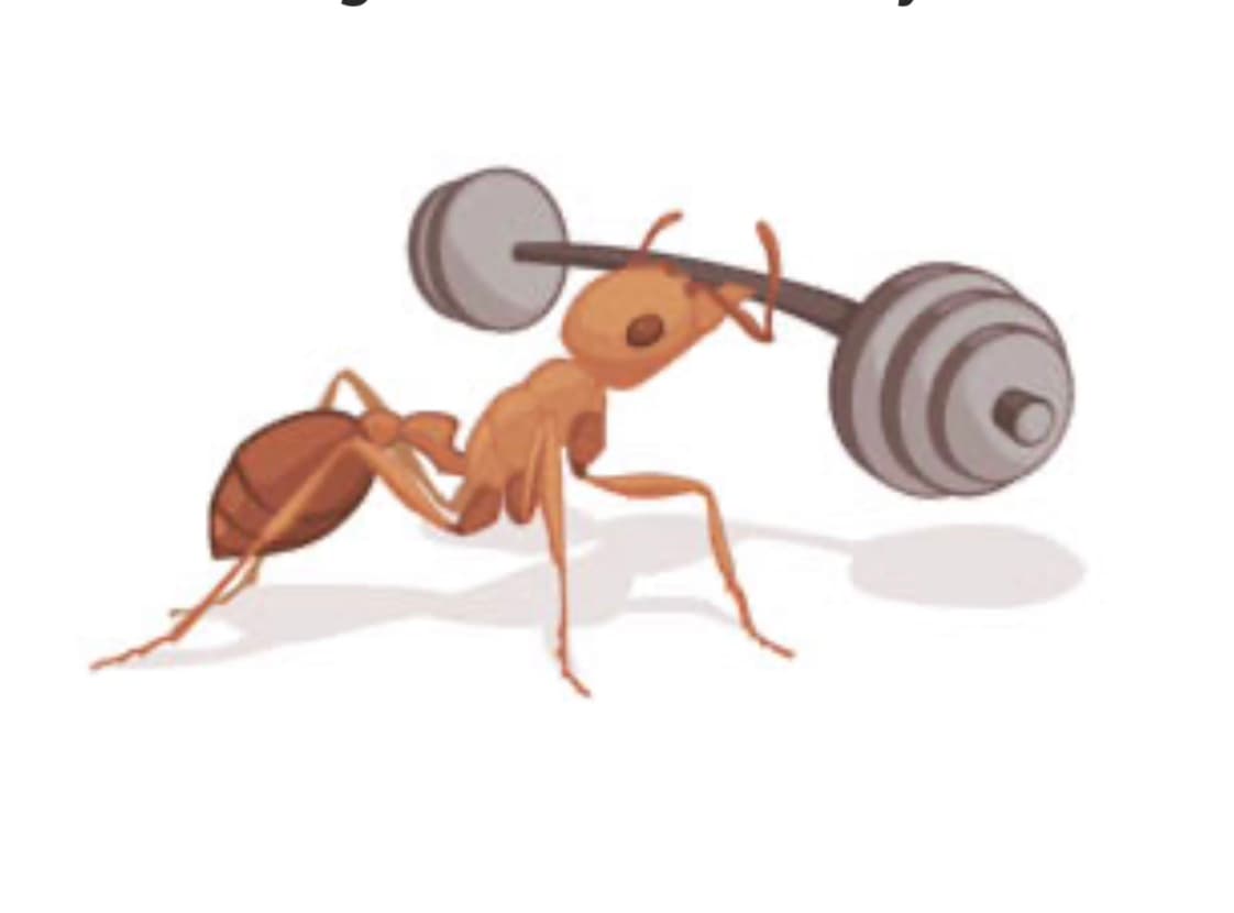 avator