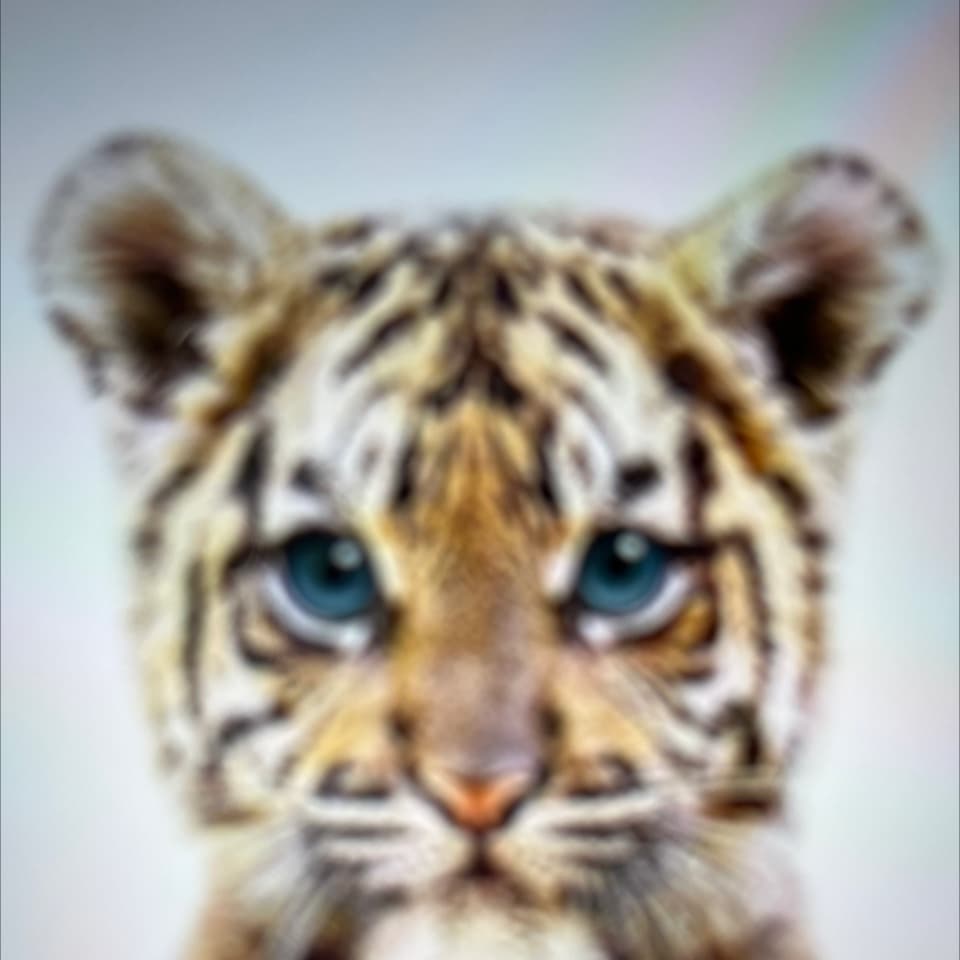 avator