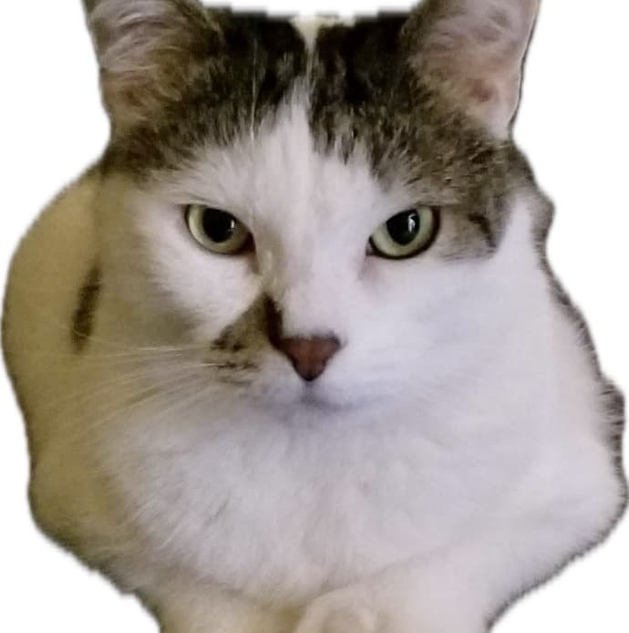 avator