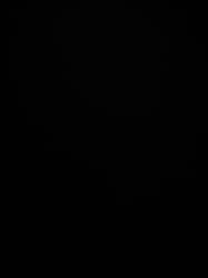 avator
