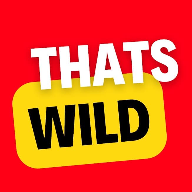 Avatar for Wild