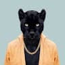 Avatar for Panther TV Channel