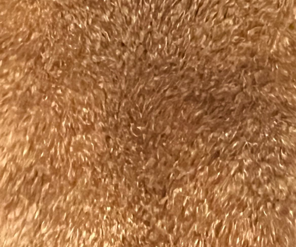 avator