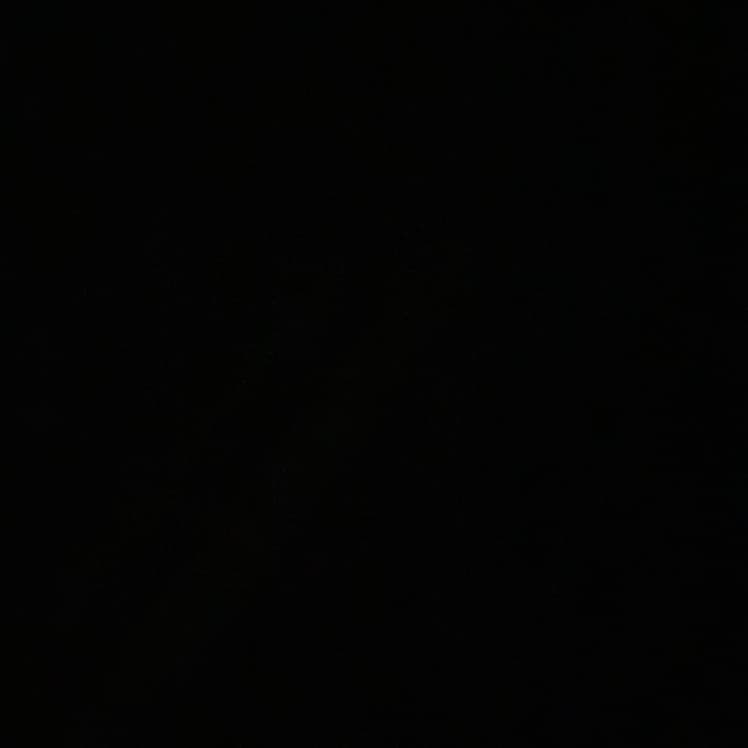 avator