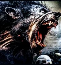 avator