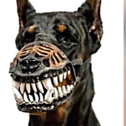 avator