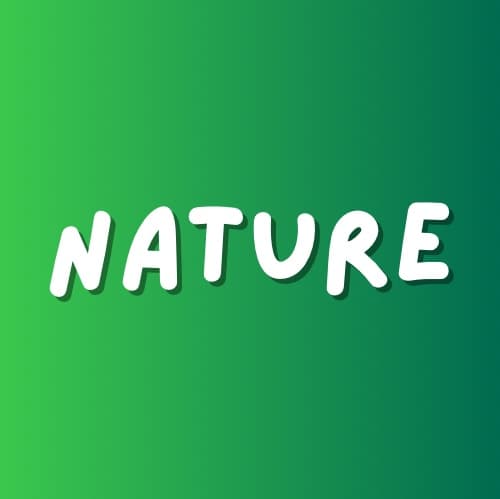 Avatar for Amazing Nature 🍀