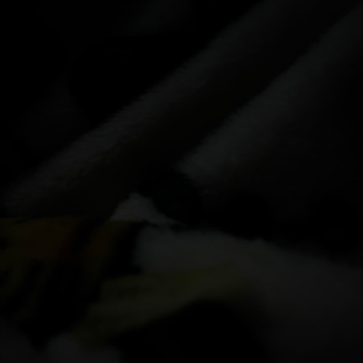 avator