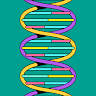avator