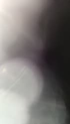 avator