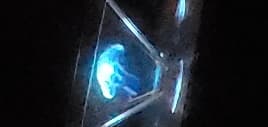 avator