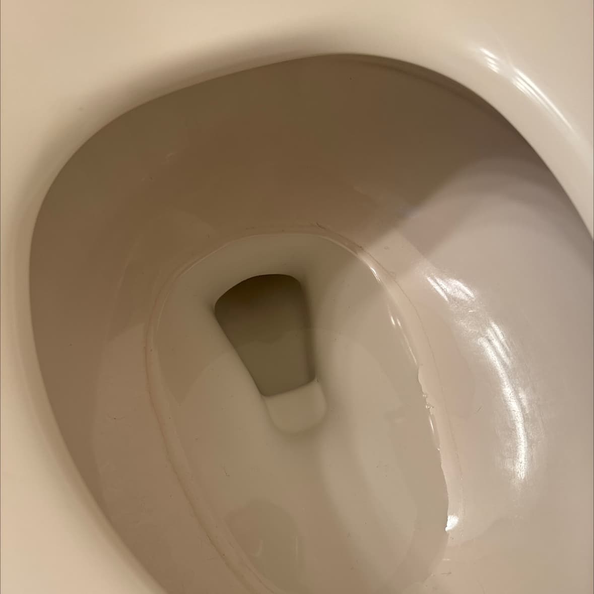avator