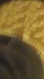 avator
