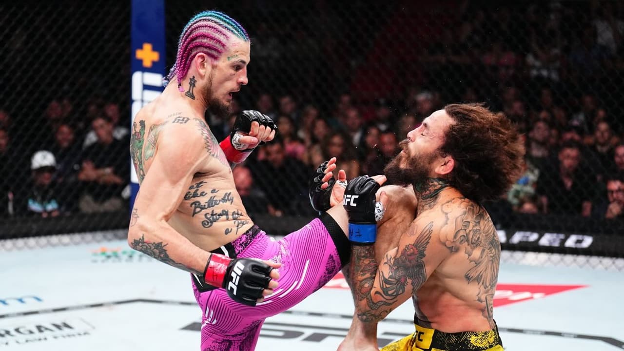 Avatar for ufc