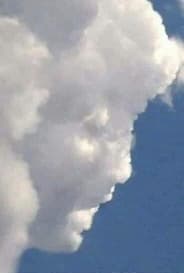 avator