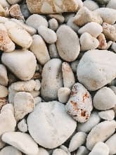 avator
