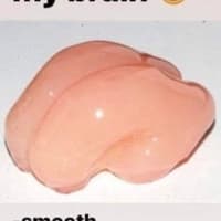 avator