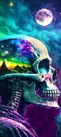 avator
