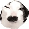 avator