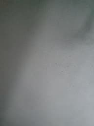 avator