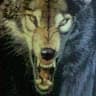 avator