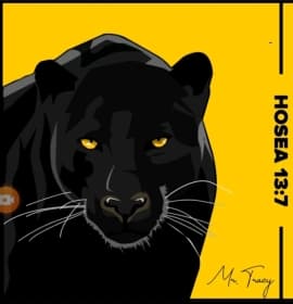Avatar for MrTracyB