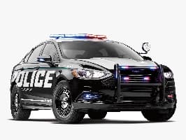 Police Activity
