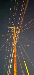 avator