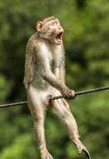 Avatar for Relaxed Laughter