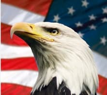 Avatar for Security Now