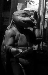 avator