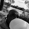 avator