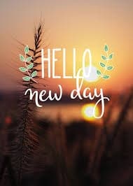 Avatar for Hello new day