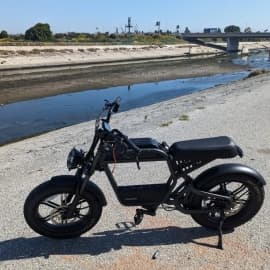 avator