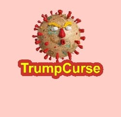 Avatar for TrumpCurse 