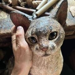 Avatar for Animals Stories