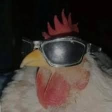 Avatar for Imemezplug