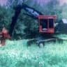 avator