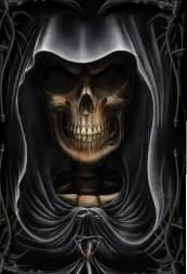 avator