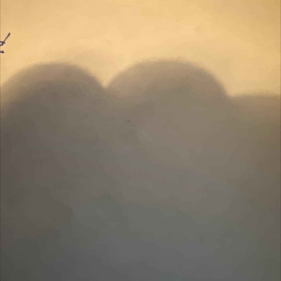 avator