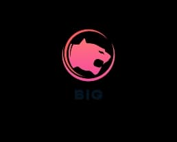 Avatar for Idea Pipeline