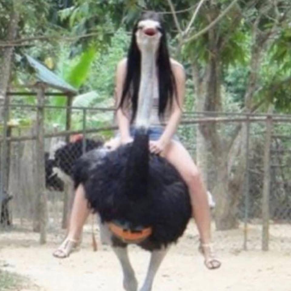 avator