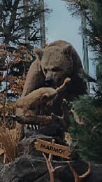avator