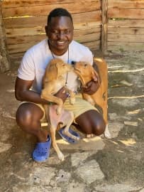 Avatar for voiceforanimals