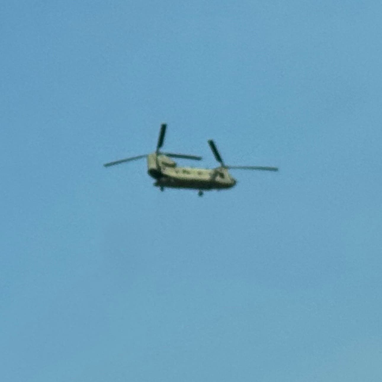 avator