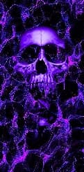 avator