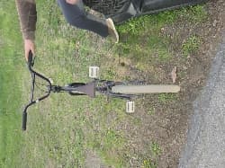 avator