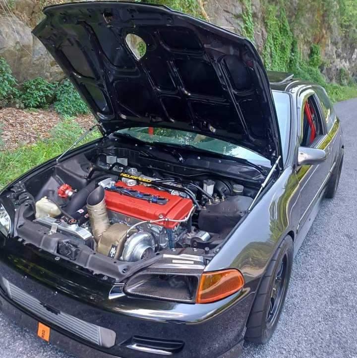 avator
