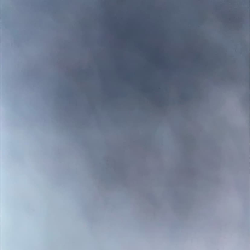avator
