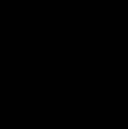 avator
